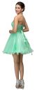 Strapless Lace Bodice Tulle Short Homecoming Party Dress back in Mint